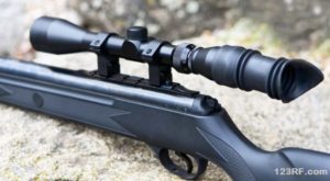 air rifle
